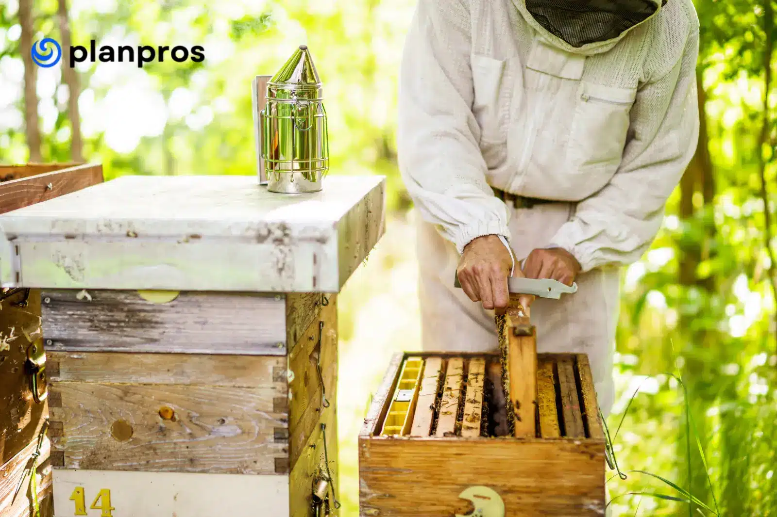 how to start a beekeeping business